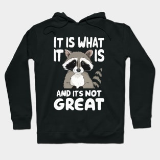 It Is What It Is And It's Not Great. Funny Hoodie